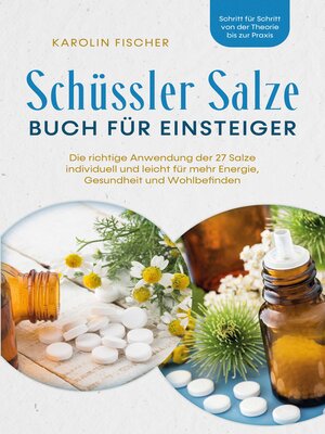 cover image of Schüssler Salze Buch für Einsteiger